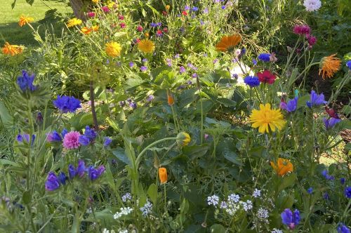 Blomstermix